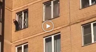 Жители Санкт-Петербурга переживали за ребенка, который играл на открытом окне