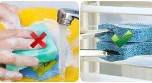 13 нестандартных способов использования губки для мытья посуды, о которых многие не подозревают (14 фото)