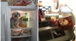 Что можно найти в холодильнике? (16 фото)