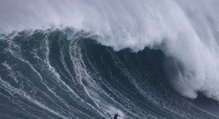 Гигантские волны в Португалии привлекли серферов (6 фото)