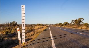 Зачем на австралийских дорогах ставят двухметровую линейку (1 фото)