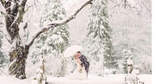 Свадебная фотосессия в зимней сказке, получившаяся благодаря внезапно начавшейся метели (8 фото)