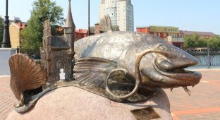 В Калининграде появился памятник гигантскому сому (4 фото)