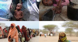 Засуха в Сомали вызвала сильнейшний гуманитарный кризис (40 фото)