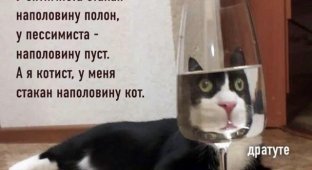Лучшие шутки и мемы из Сети. Выпуск 111