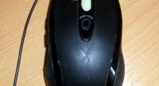 Легкий тюнинг компьютерной мыши (11 фото)