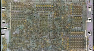 Процессор Intel 8008 — что внутри? (5 фото)