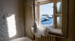 Тикси — суровый арктический оазис (27 фото)