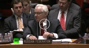 Виталий Чуркин отчитал постпреда США при ООН (майдан)