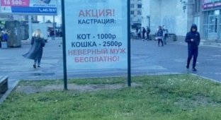 Петербуржцам не понравилась реклама бесплатной кастрации неверных мужей (1 фото)