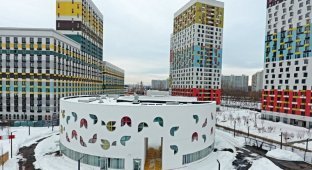 В Москве построили круглый детский сад (19 фото)
