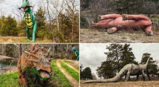 Забытые динозавры в лесах Арканзаса (13 фото + 1 видео)