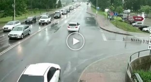 Уточки переходят через дорогу