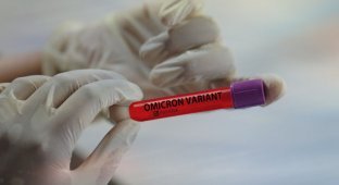В России выявили новый штамм коронавируса - омикрон
