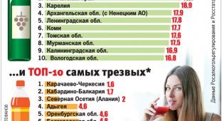 Самые пьющие и самые трезвые регионы России (2 фото)
