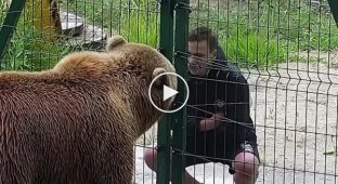 Плюнул в лицо медведю