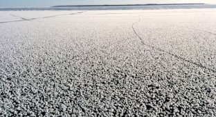 Странное природное явление на Ладожском озере (3 фото)