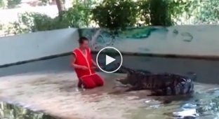 Крокодил укусил дрессировщика за голову на глазах у туристов
