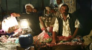 Арабские и африканские наркоманы, подсевшие на кат (19 фото)