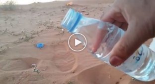 Интересный эксперимент с бутылкой воды в пустыне