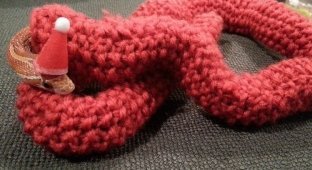 Девушка связала для домашней змеи восхитительный рождественский свитер (8 фото + 1 видео)