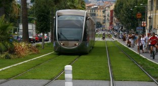 Зеленые трамвайные пути в Европе (13 фото)
