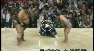 Классный бой сумо «никогда не сдавайся»