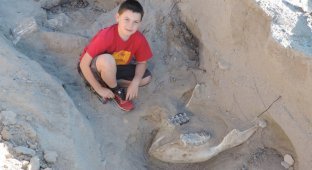 9-летний мальчик случайно нашел череп предка слона возрастом более 1 млн лет (4 фото)