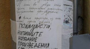 Объявления для соседей от жителей культурной столицы России (7 фото)