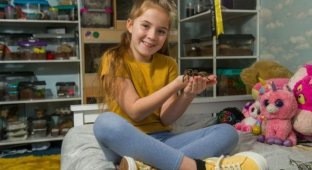 Холли Гринхал - 8 летняя натуралистка из Великобритании, которая живет в комнате вместе с полусотней тарантулов (8 фото)
