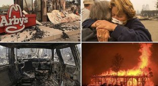 Калифорния в огне. Шокирующие фотосвидетельства (20 фото)