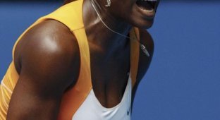 Serena Williams на корте (9 фотографий)