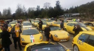 Сотни жёлтых авто приехали в деревню чтобы поддержать пенсионера (8 фото + 1 видео)