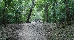 Путешествие Историка по джунглям Юкатана (34 фото)