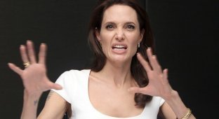 «Слишком много яда»: адвокат Анджелины Джоли хочет отказаться от сотрудничества с актрисой (5 фото)