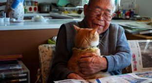 Семья уже не знала, что делать со сварливым 94-летним дедом, пока в их доме не появился кот