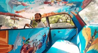 Дизайнерские салоны такси в Индии (27 фото)