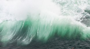 Езда серферов по большим волнам Ботани-Бей (13 фото)