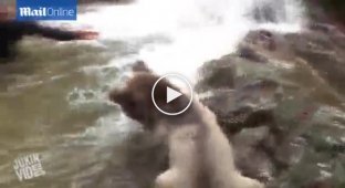 Джамаль Галас плещется в воде с диким медведем