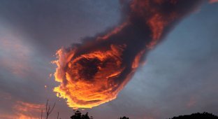 Это небесное явление очевидцы назвали «Рукой Бога» (3 фото)