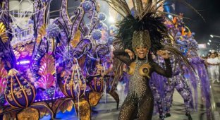 Карнавал в Сан-Паулу 2015: роскошные женщины и перья (43 фото)