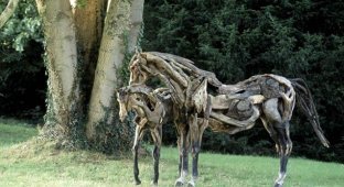 Животные из дерева (41 фотография)