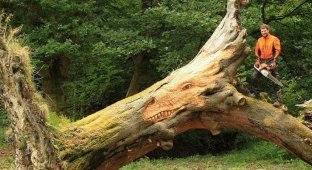 Великолепные изделия из дерева (33 фото)