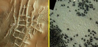 Сотни чёрных "пауков" замечены на Марсе (3 фото)