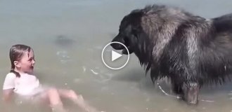 Собака спасает дочь хозяина от волн