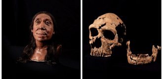 Учёные воссоздали облик неандертальской женщины по черепу (7 фото)