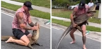 Боец ММА из Флориды одолел аллигатора голыми руками (5 фото + 2 видео)