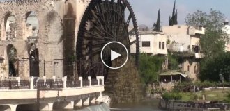 Подъем воды с помощью нория в сирийском городе