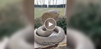 Слишком реалистичная скульптура змеи
