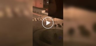 Очевидцы сняли на видео, как крупная собака выгуливает свою хрупкую хозяйку